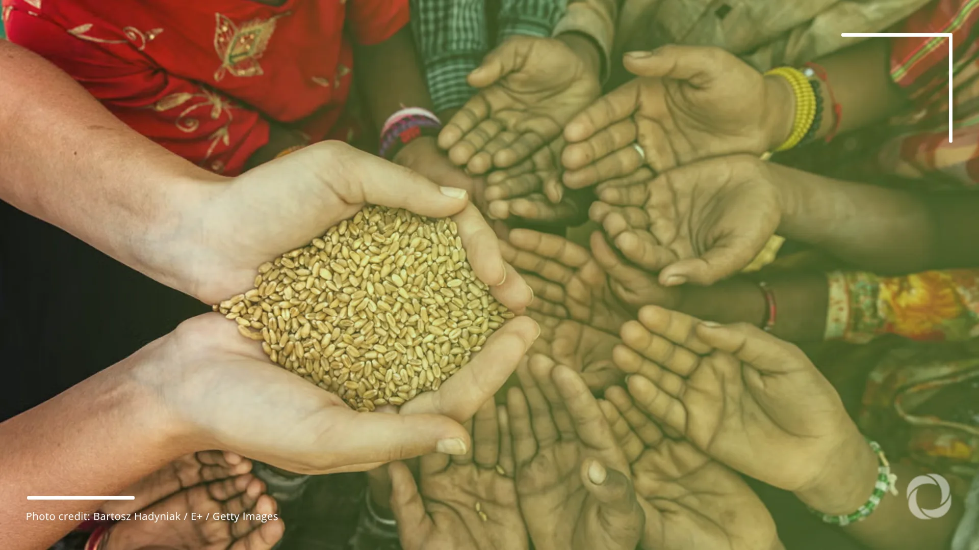 World food insecurity: Exploring its causes, effects, and mitigation